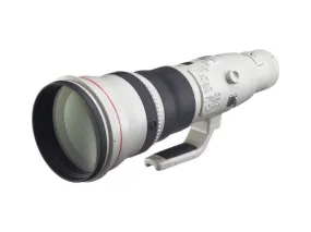 Canon EF 800mm f/5.6L IS USM Lens