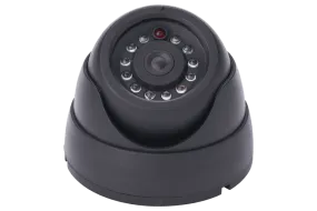 Dummy dome security camera