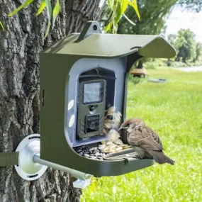 Outdoor Trail Camera Bird Feeder