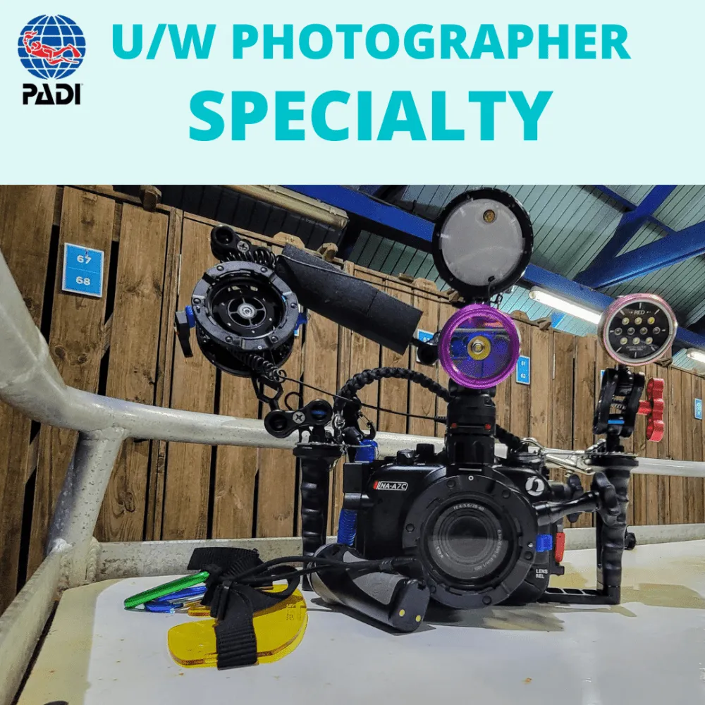 PADI Digital U/W Photographer Specialty